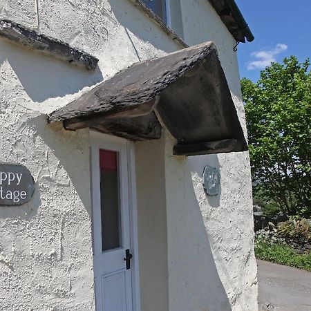 Poppy Cottage 科尼斯顿 外观 照片